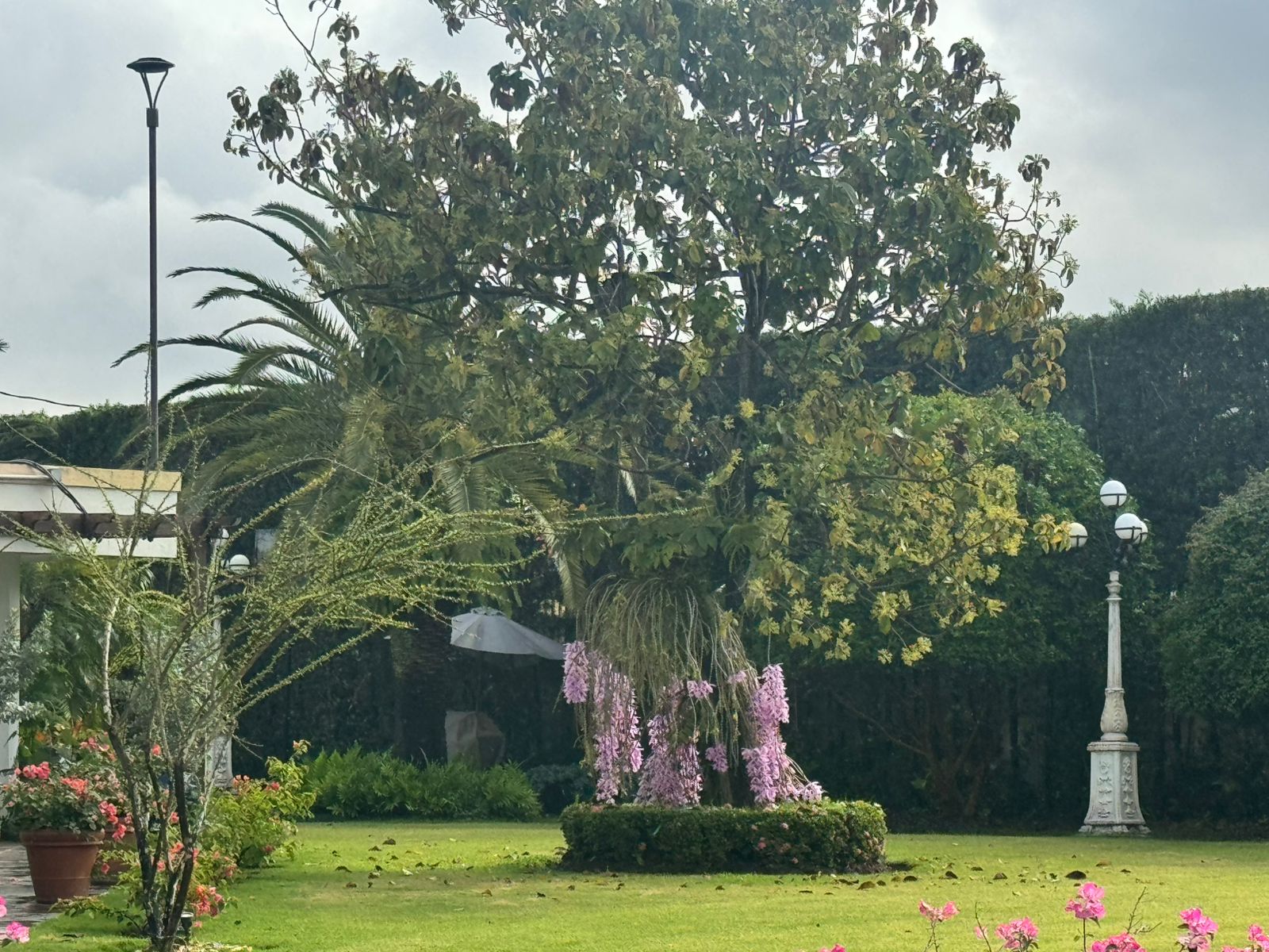 PIZFN Campus Grounds